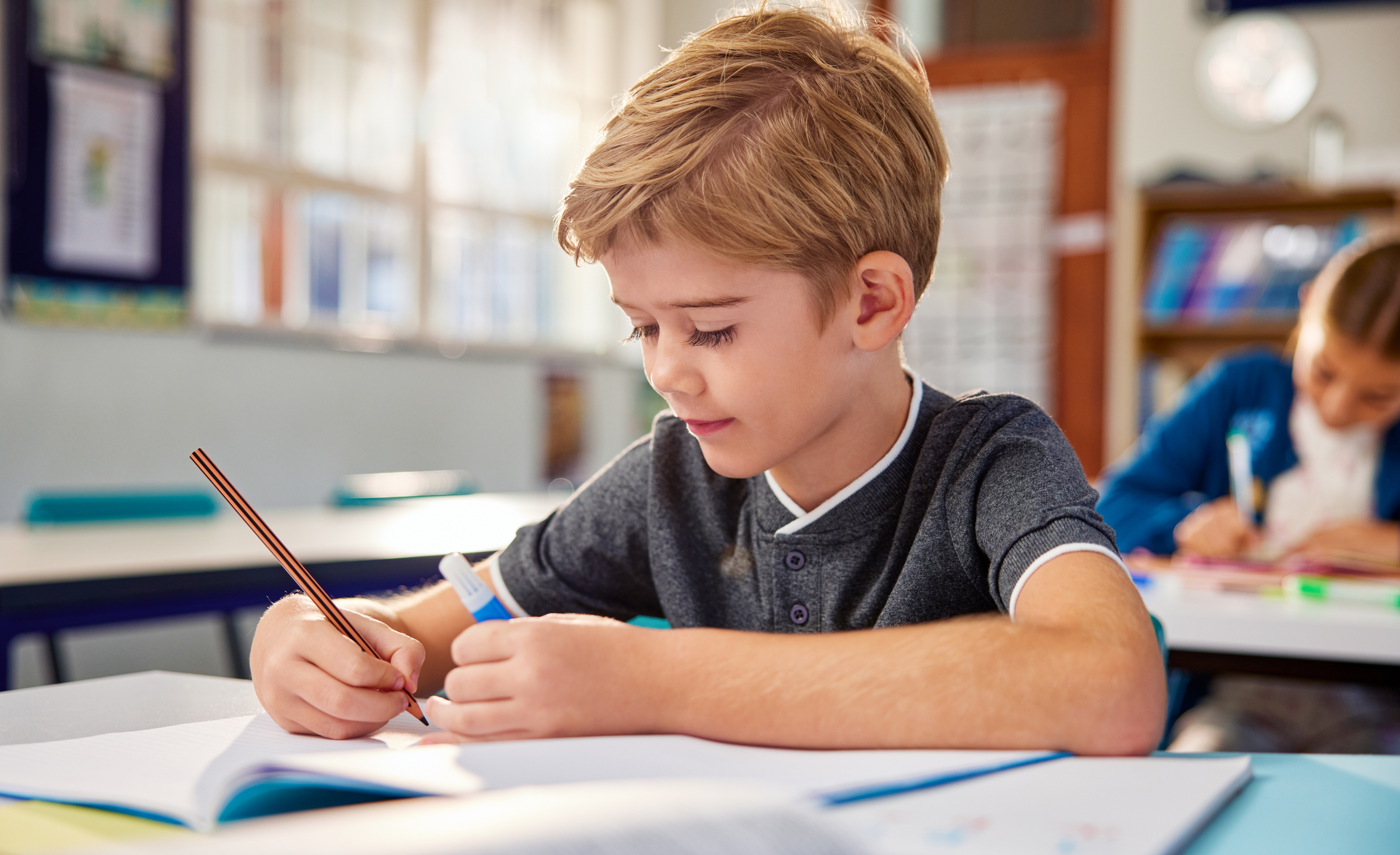 Schools in the Netherlands